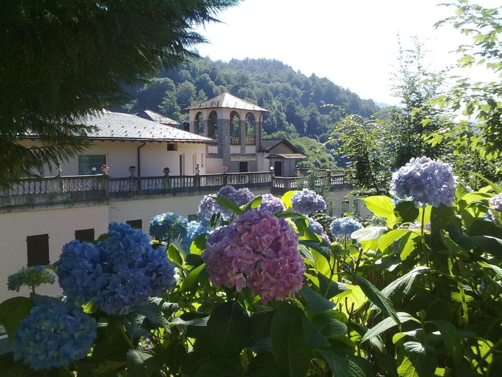 Hotel Villa Delle Ortensie Sant'Omobono Imagna Exterior photo